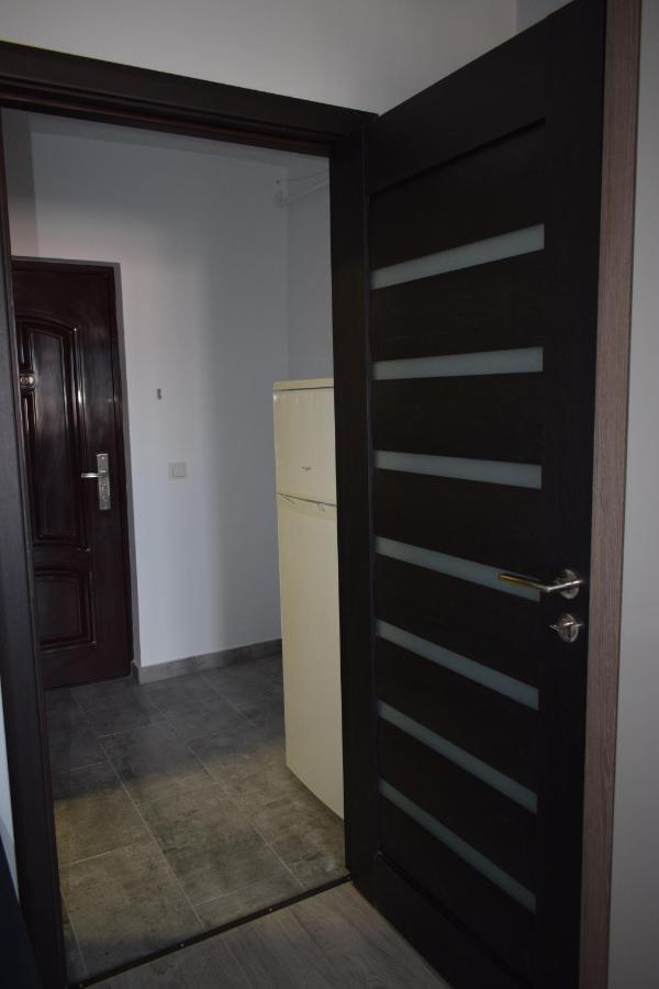 Apartament Palatul De Justitie Rhbm Baia Mare Eksteriør bilde